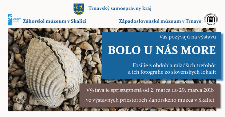Bolo u nas more, 2. - 29.3.2018, pozvanka