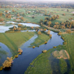 Rieka Morava a jej záplavové lúky sú výnimočné. Chystá sa obnova pôvodných brehov a meandrov.